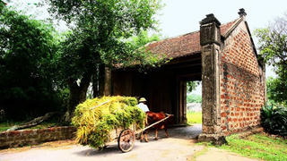 Giữ chân người trẻ ở lại với làng