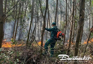 TP Đà Nẵng: Cháy thảm thực vật và rừng keo khoảng 3 ha