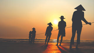 Độc đáo nghề kéo rùng bắt cá