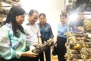 Cao Bằng: Công nhận thêm 68 sản phẩm OCOP