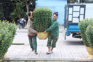 Thương lái nhiều nơi đến Quảng Trị bán hoa, cây cảnh Tết