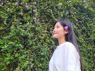 Hoa ngũ sắc tím thu hút giới trẻ Hà Nội