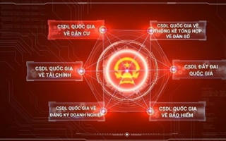 Thủ tướng chỉ thị tiếp tục đẩy mạnh triển khai Đề án 06