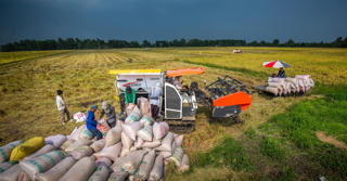 Khẳng định vị thế của gạo Việt