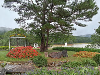 Chuyện ở chốn ngàn hoa