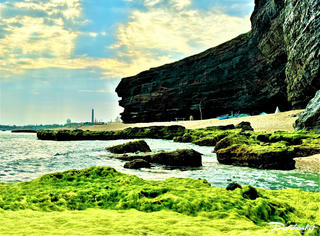 Nhiều sự kiện diễn ra tại tuần lễ Du lịch Quảng Ngãi năm 2025