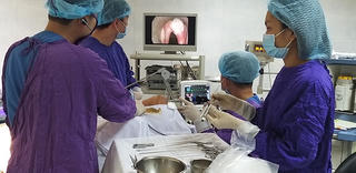 Hơn 350 nghìn người đang sống chung với ung thư