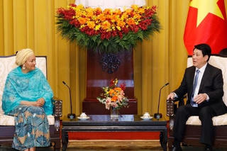 Chủ tịch nước đề nghị Liên hợp quốc hỗ trợ Việt Nam trên một số lĩnh vực ưu tiên