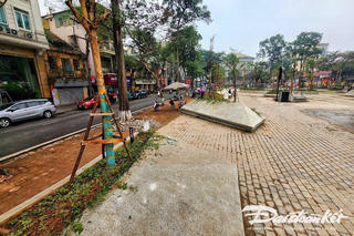 Gìn giữ những ‘mảnh vườn’ trong phố