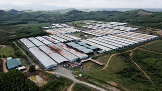 [Ảnh] Toàn cảnh Dự án nuôi bò hơn 4.500 tỷ đồng hoang tàn, xuống cấp ở Hà Tĩnh