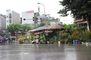 Hà Nội: Vỉa hè đường Hoàng Hoa Thám bị chiếm dụng để bày bán cây cảnh, gốm sứ