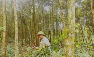 Tú Ạc thoát nghèo