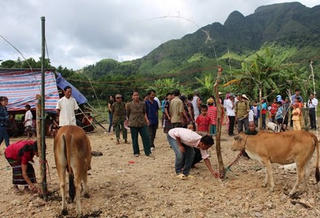 Cải thiện đời sống vùng đồng bào dân tộc thiểu số