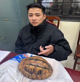 Hà Nội: Khởi tố đối tượng vận chuyển, mua bán rùa quý hiếm