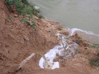 Thanh Hóa: Xử phạt một trại lợn gần 440 triệu đồng