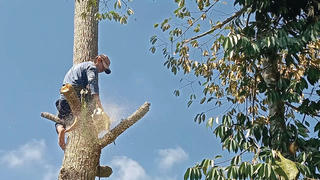 Mưu sinh ‘trên trời’