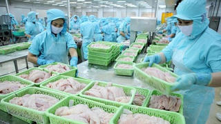 Xuất khẩu nông sản: Liên tiếp đón nhận tin vui