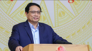 Khai thác tiềm năng, cơ hội nổi trội của ngành lâm, thủy sản