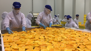 Nông sản Việt: Tiếp cận thị trường thế giới bằng ý tưởng mới