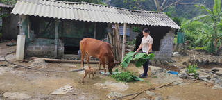 Công nghệ số: “Đòn bẩy” giảm nghèo bền vững