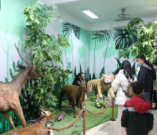 Nơi lưu giữ mẫu hổ Đông Dương, voi châu Á mở cửa đón khách tham quan miễn phí