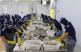 Chủ động xây dựng kịch bản cho xuất khẩu nông, lâm, thủy sản