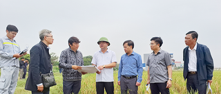 Nam Định: Bắt đầu bàn giao cọc GPMB, mốc lộ giới phục vụ triển khai dự án cao tốc CT.08