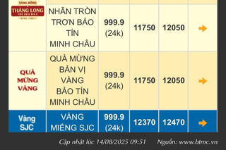 Ngày 14/8: Giá vàng miếng SJC vượt 124 triệu đồng/lượng