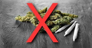 Sau khi sử dụng cỏ Mỹ, học sinh lớp 9 phải nhập viện