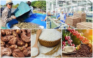 Đảm bảo nguồn cung thực phẩm dịp cuối năm