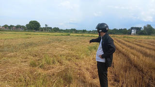 Giải quyết ruộng bậc thang ở vùng đồng bằng Quảng Trị - Bài 1: Khó khăn trong canh tác, sản xuất