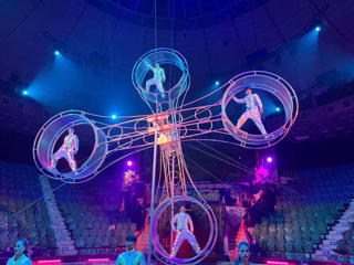 Gần 100 nghệ sĩ tham gia cuộc thi ‘Tài năng Xiếc toàn quốc – 2024'