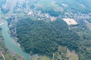 Giữ rừng lim xanh