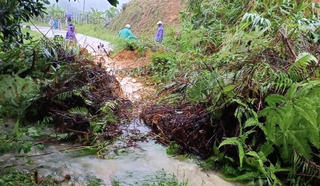 Đề phòng nguy cơ sạt lở đất và ngập úng do mưa lớn ở Quảng Ngãi