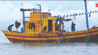 Săn ốc tỏi nơi đảo xa