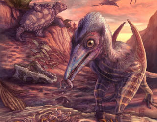 Mỹ phát hiện loài thằn lằn bay cổ đại nhất Bắc Mỹ có niên đại 209 triệu năm