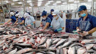 Xuất khẩu thủy sản bứt phá