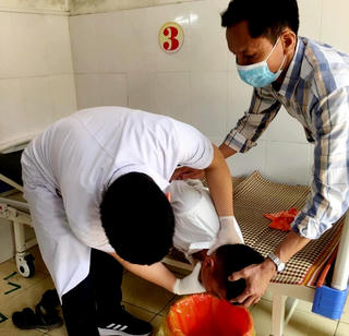 Ăn hạt quả ngô đồng, 11 học sinh ở Hà Tĩnh nhập viện cấp cứu