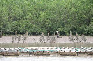 Về Quảng Yên thưởng thức tinh hoa miền nước lợ