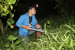 Hòa Bình: Kích điện bắt giun có thể bị xử phạt vì 'làm suy giảm chất lượng đất'