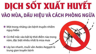 Dịch sốt xuất huyết vào mùa, dấu hiệu và cách phòng ngừa