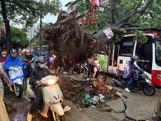Cây gãy đổ, kính vỡ khắp nơi trong cơn mưa dông lớn ở Hà Nội