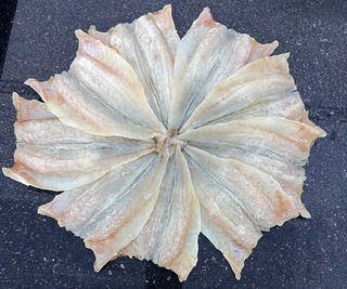 Về Rạch Gốc ăn cá đù một nắng