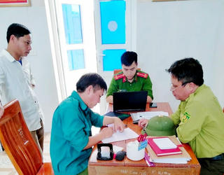 Hà Tĩnh: Bị bắt khi đang chặt phá rừng trái phép