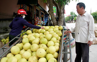 [Ảnh] Đặc sản bưởi Phúc Trạch xuống phố, người trồng thành triệu phú