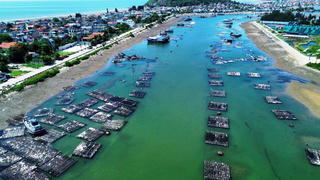 Cửa Lạch Bạng trước mùa mưa bão