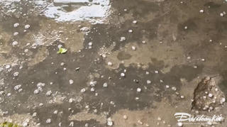 Quảng Nam: Xuất hiện mưa đá ở huyện Nam Trà My