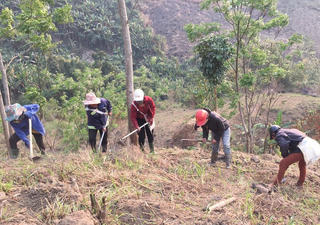 Ưu tiên giải quyết chính sách về đất đai cho đồng bào dân tộc thiểu số