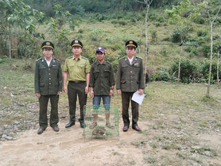 Phát hiện khỉ mặt đỏ bị thương, người dân đem nộp cho kiểm lâm