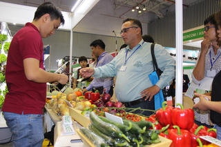 Chung tay tạo nguồn thực phẩm sạch